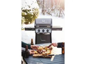 FREESTYLE 365 SB Gas Grill